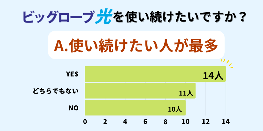 ビッグローブ光アンケート調査結果