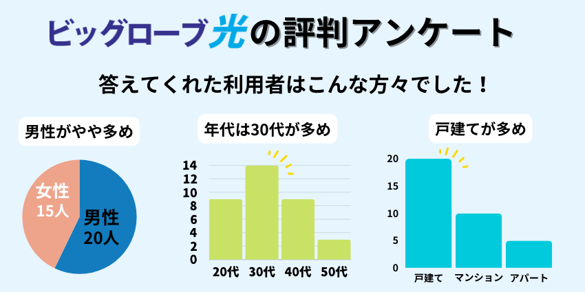 ビッグローブ光アンケート調査の参加者詳細