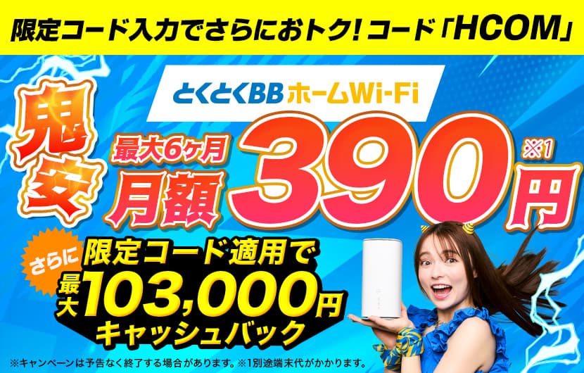 とくとくBBホームWi-Fi ヒカリコム限定画像