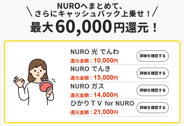 NURO光　オプションキャッシュバック内訳画像