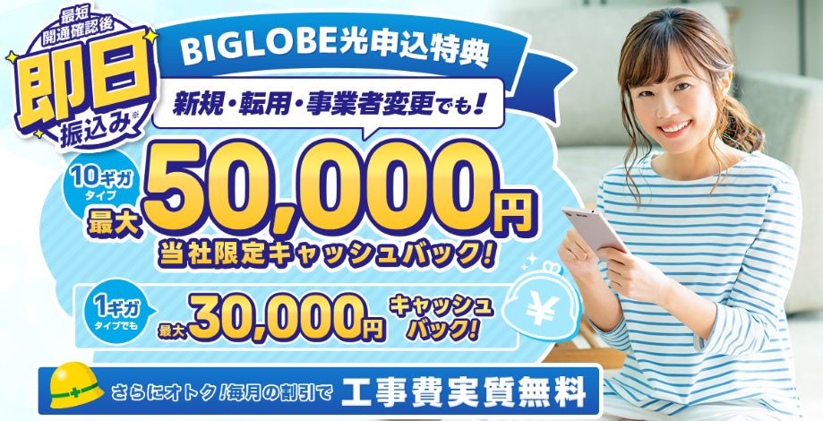 ビッグローブ光 代理店アウンカンパニー LP画像