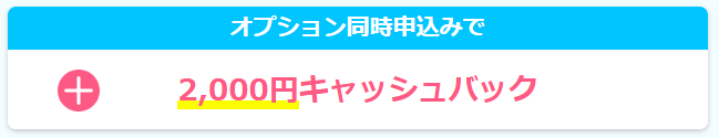 オプション加入