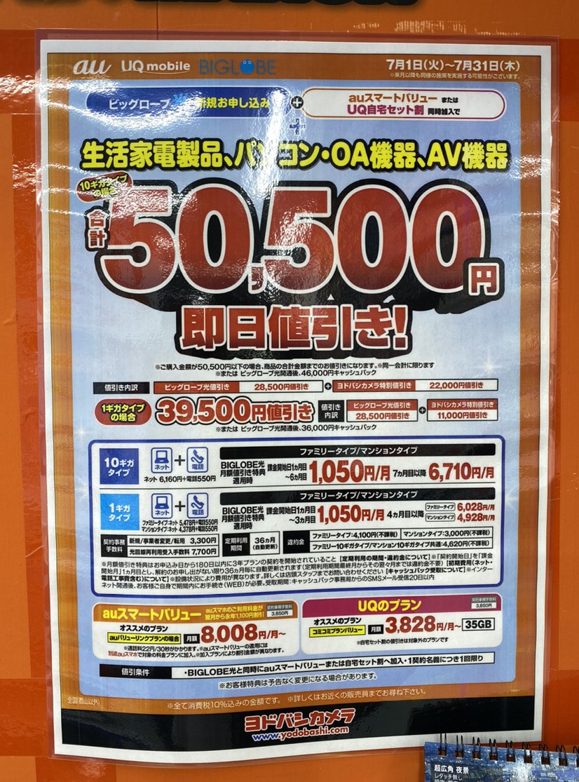 ヨドバシカメラ ビッグローブ光 6月