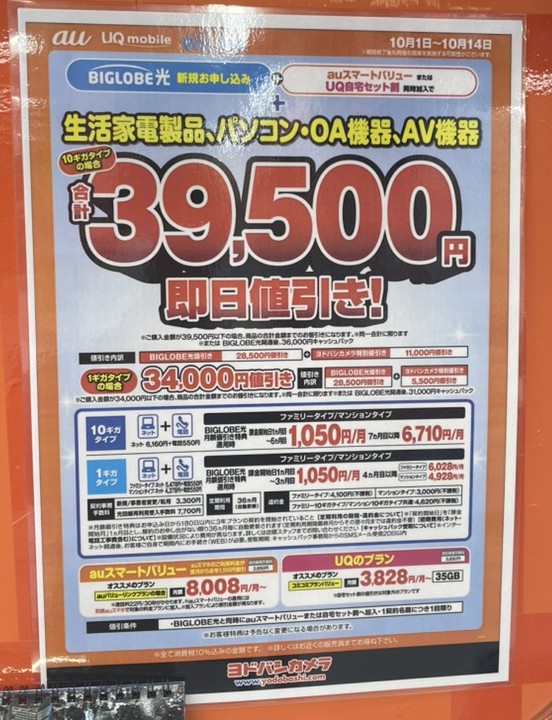 ヨドバシカメラ ビッグローブ光 10月