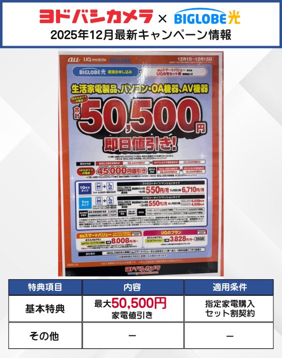 ヨドバシカメラ ビッグローブ光 12月