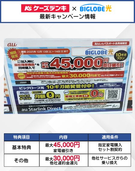 ケーズデンキのビッグローブ光