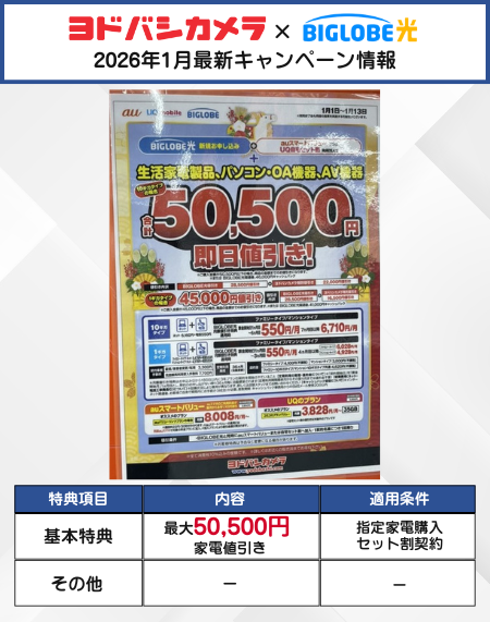 ヨドバシカメラ ビッグローブ光 1月