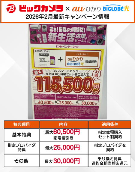 ビッグカメラ auひかり 2月のキャンペーン