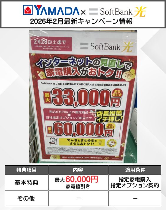 ヤマダ電機 ソフトバンク光 2月