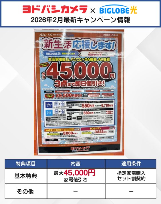 ヨドバシカメラ ビッグローブ光 2月