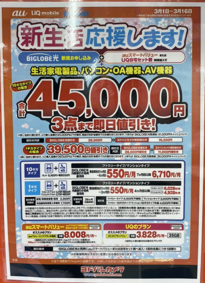 ヨドバシカメラ ビッグローブ光 3月